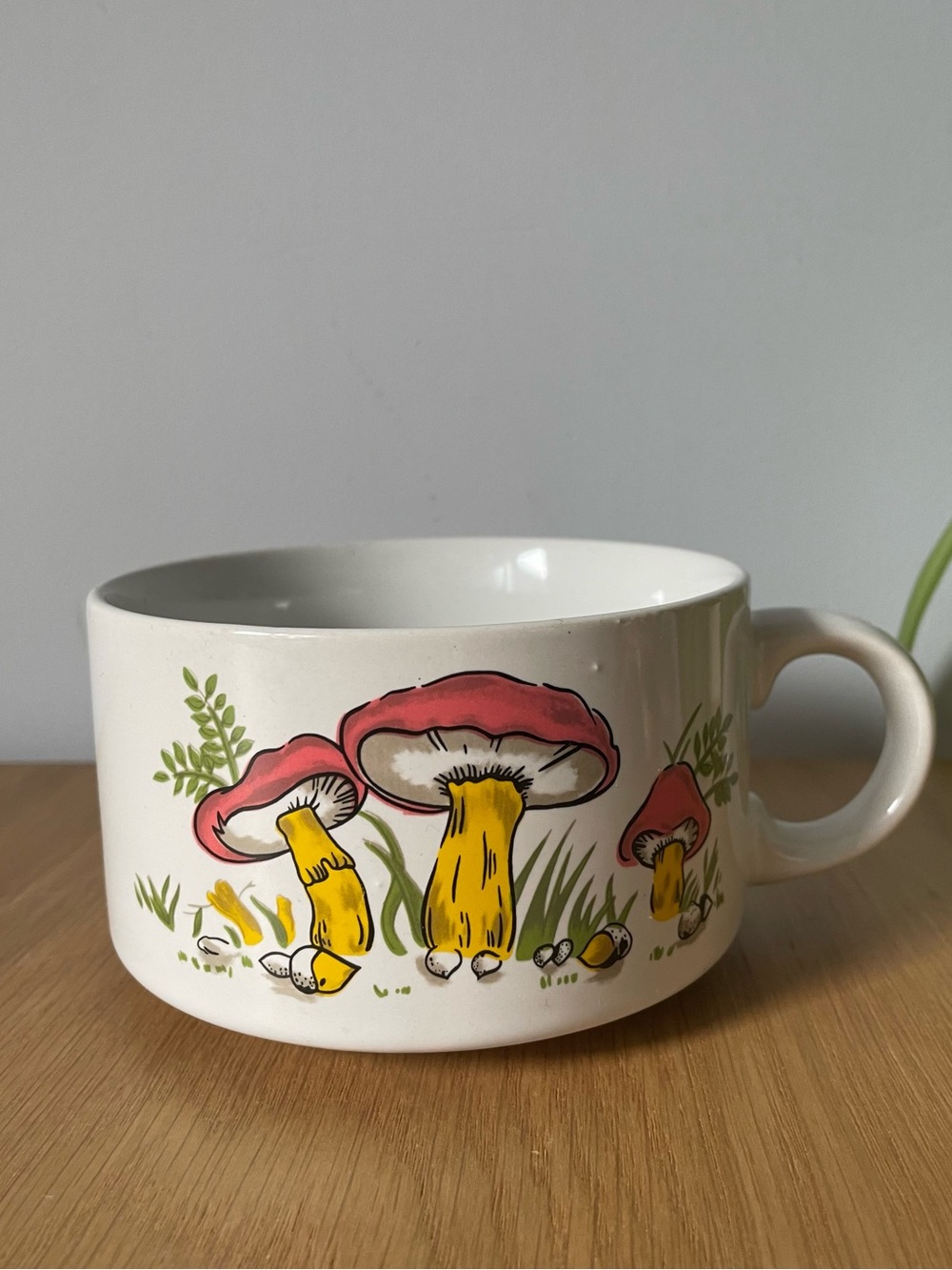 Vintage 1970s Mushroom Illustration Ceramic Soup Mug